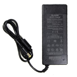 Cargador 42V 2A DC5525 para Cecotec y compatibles
